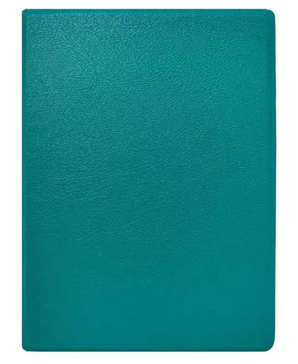 eBookReader Onyx BOOX Go 6 cover grøn