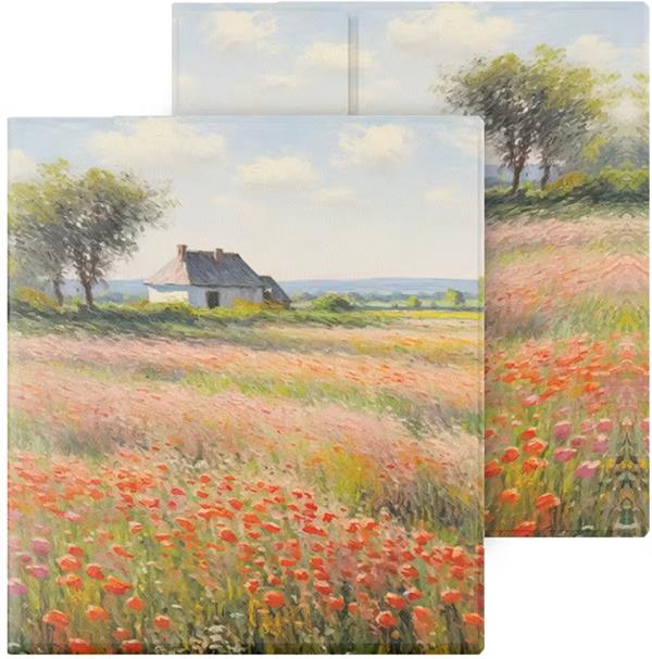 eBookReader Onyx BOOX Go 7 cover blomsterhus