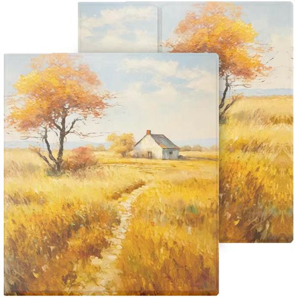 eBookReader Onyx BOOX Go 7 cover sommerhus