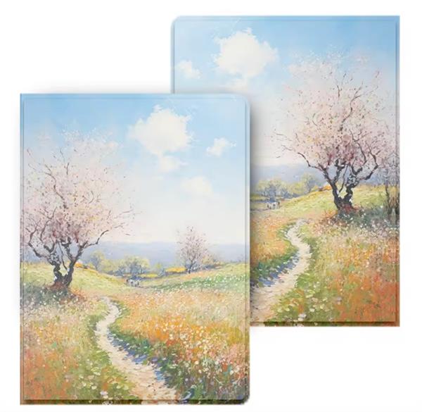 eBookReader Onyx Boox Go 6 cover sti